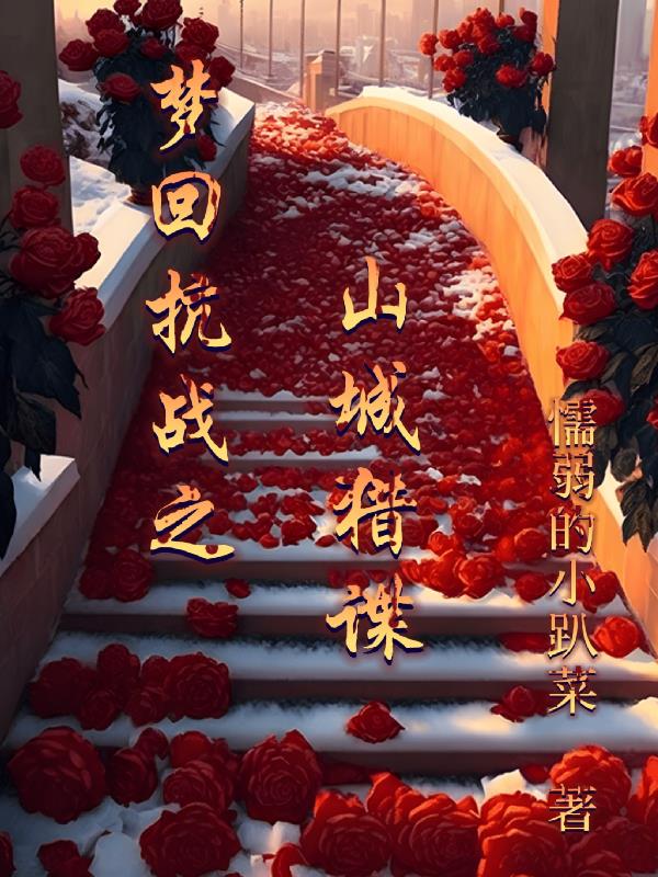 梦回山城猎谍小说